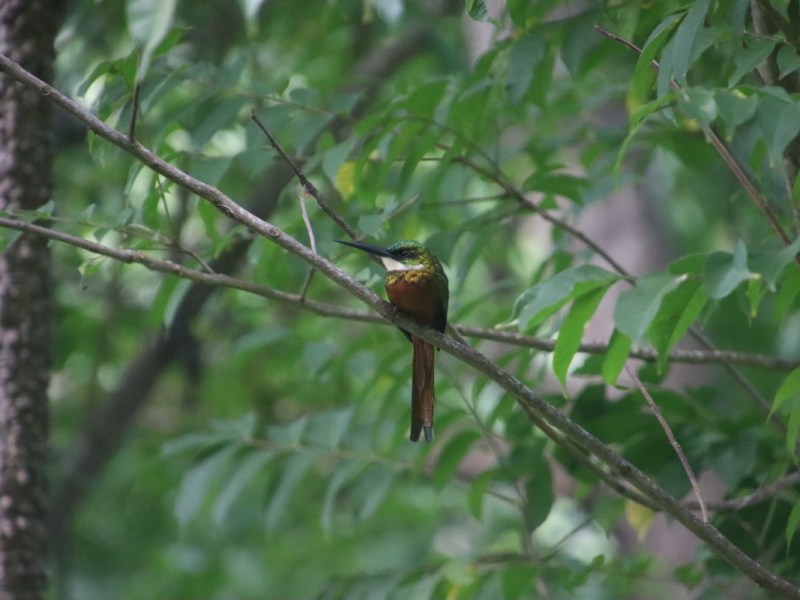 L&rsquo;anse de &laquo;&nbsp;Pirates Bay&nbsp;&raquo;