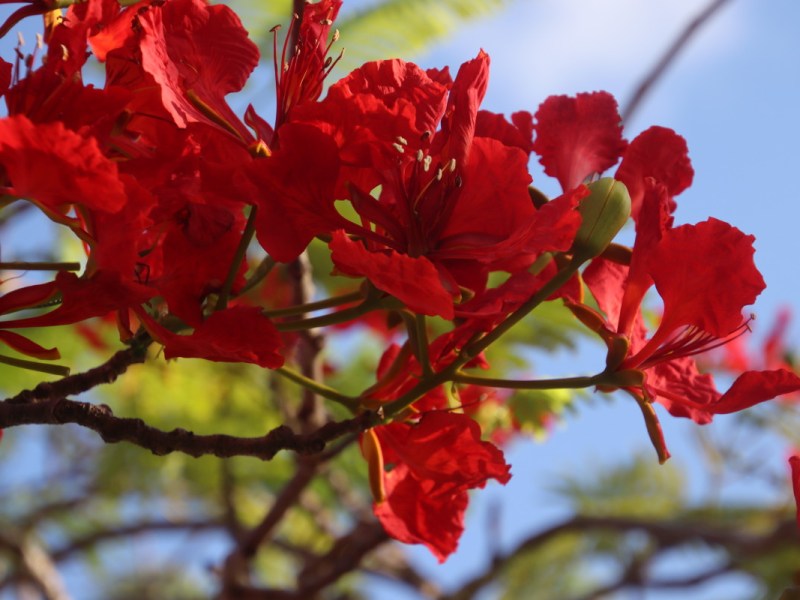 Au revoir Tobago, bonjour&nbsp;Grenade